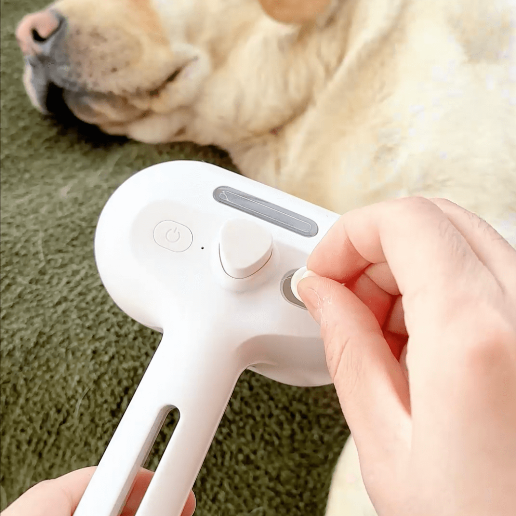 BrushPaw Steam Brush for Dogs