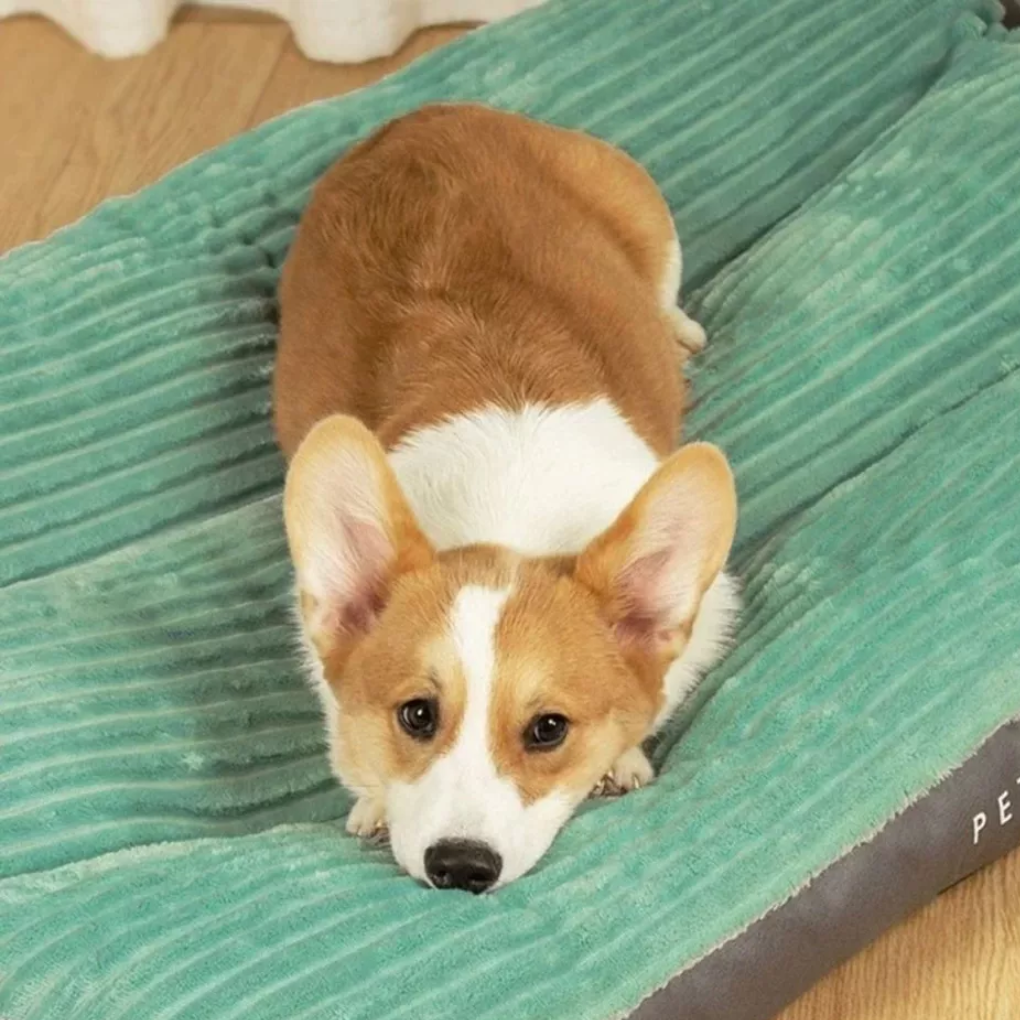 Dog Cushion for Rest and Relaxation