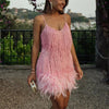 Ximena | Women's Feather Mini Dress