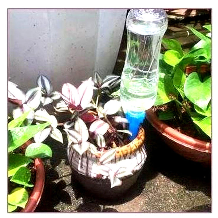 Automatic Plant Watering Spikes (Pack of 12) – Adjustable Flow Garden Aid