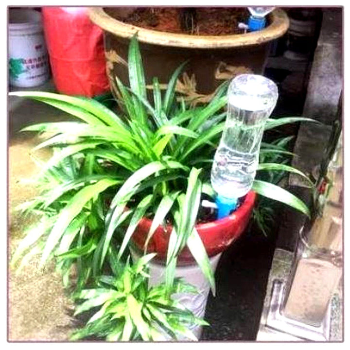 Automatic Plant Watering Spikes (Pack of 12) – Adjustable Flow Garden Aid