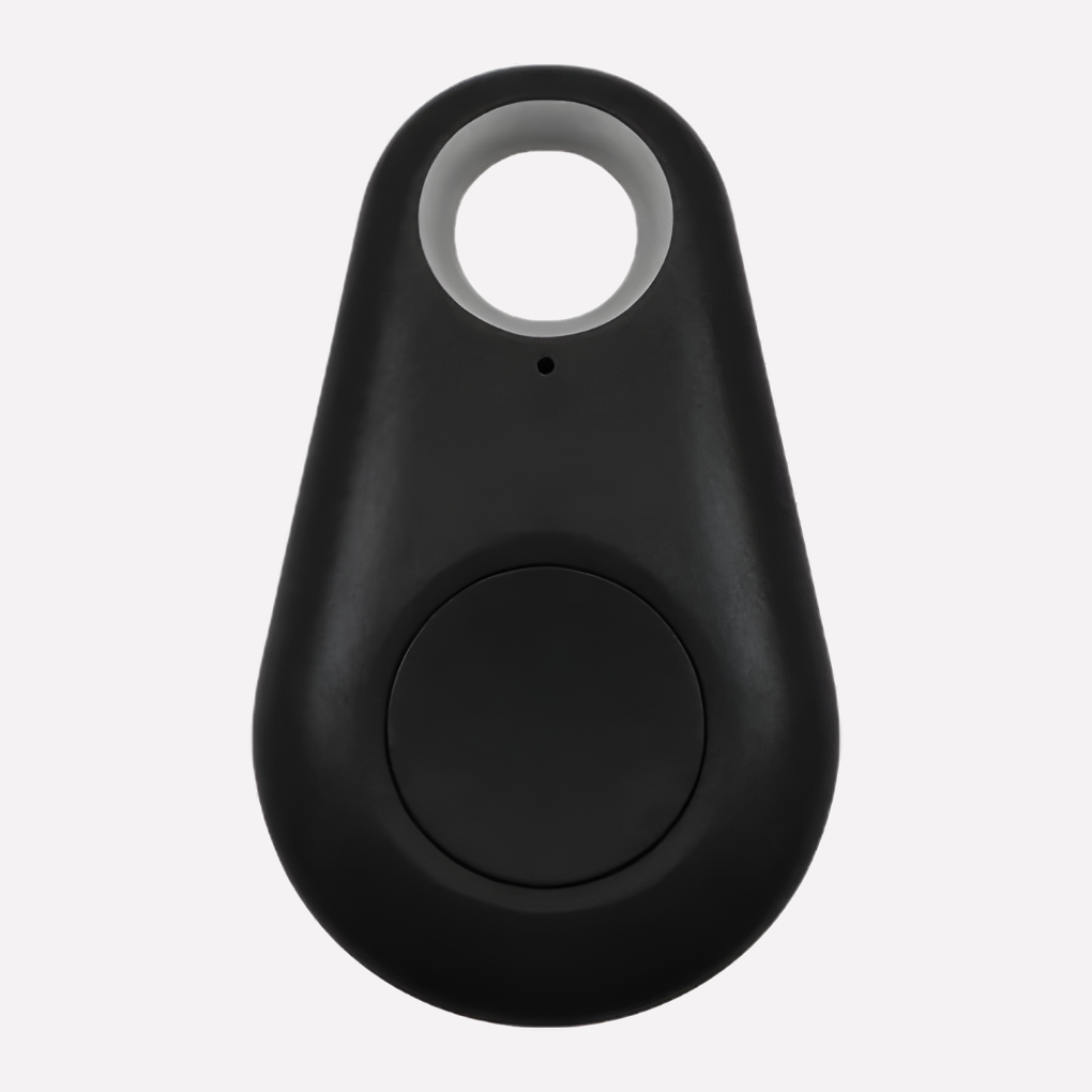 Real-Time Location Tracking for Pets