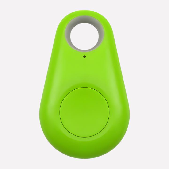 Real-Time Location Tracking for Pets