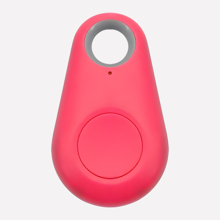 Real-Time Location Tracking for Pets