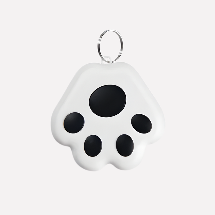 Real-Time Location Tracking for Pets