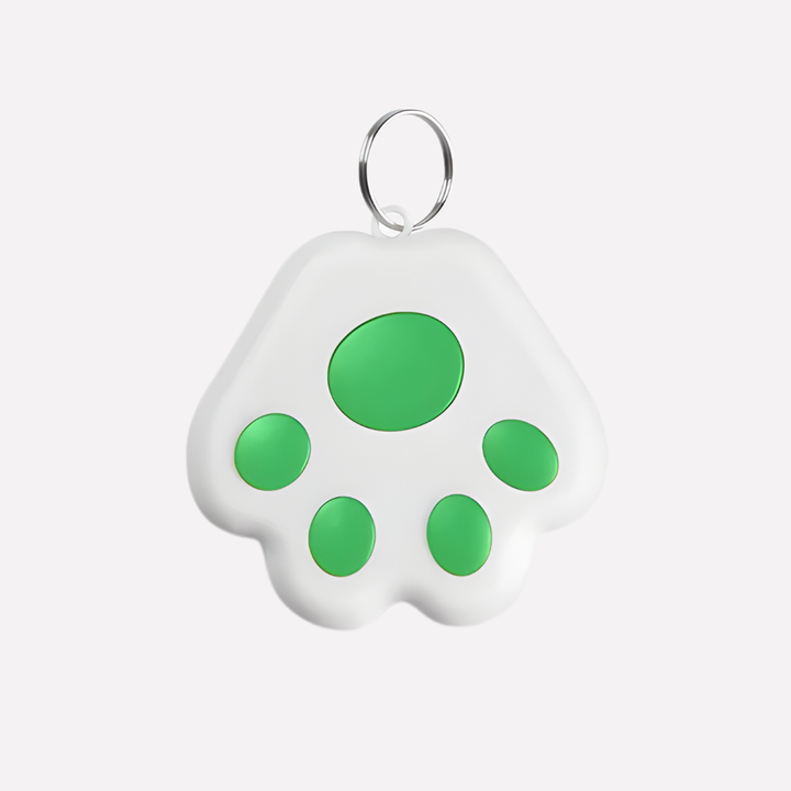 Real-Time Location Tracking for Pets