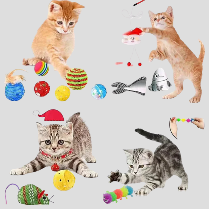 Cat Toy Advent Calendar 24-Day Interactive Countdown Kit