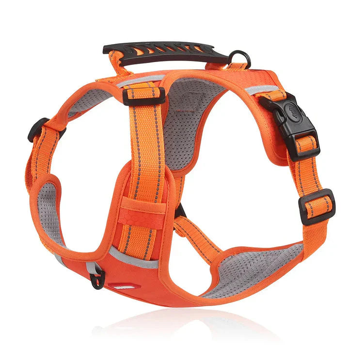 Anti-Pull Dog Harness with Comfortable Fit and Enhanced Control