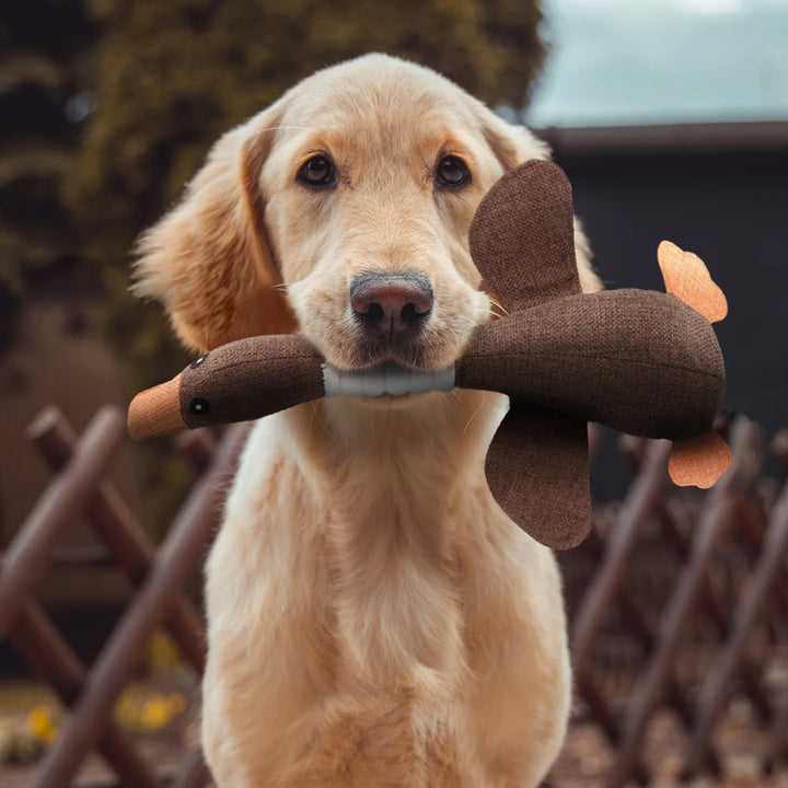 No More Broken Toys with This Ultimate Durable Dog Toy
