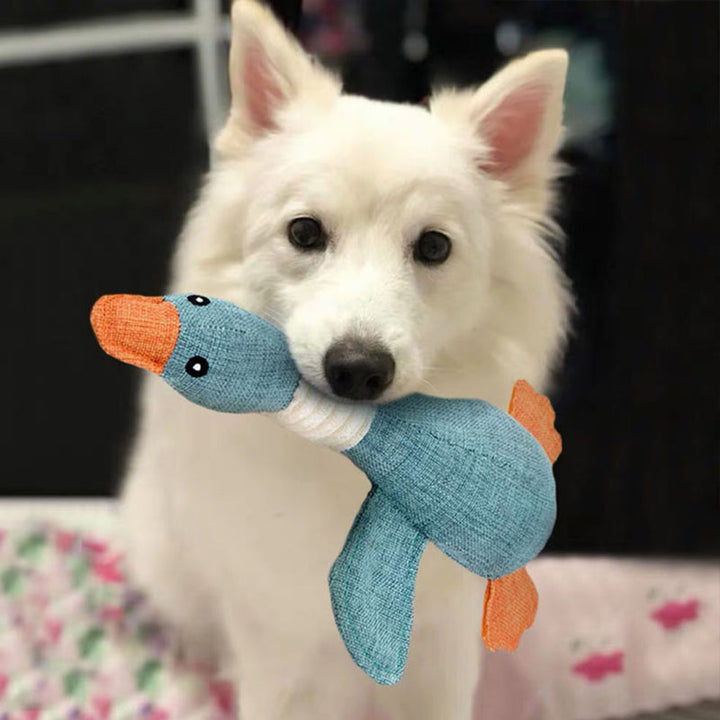 No More Broken Toys with This Ultimate Durable Dog Toy