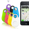 Real-Time GPS Tracking for Pets and Children