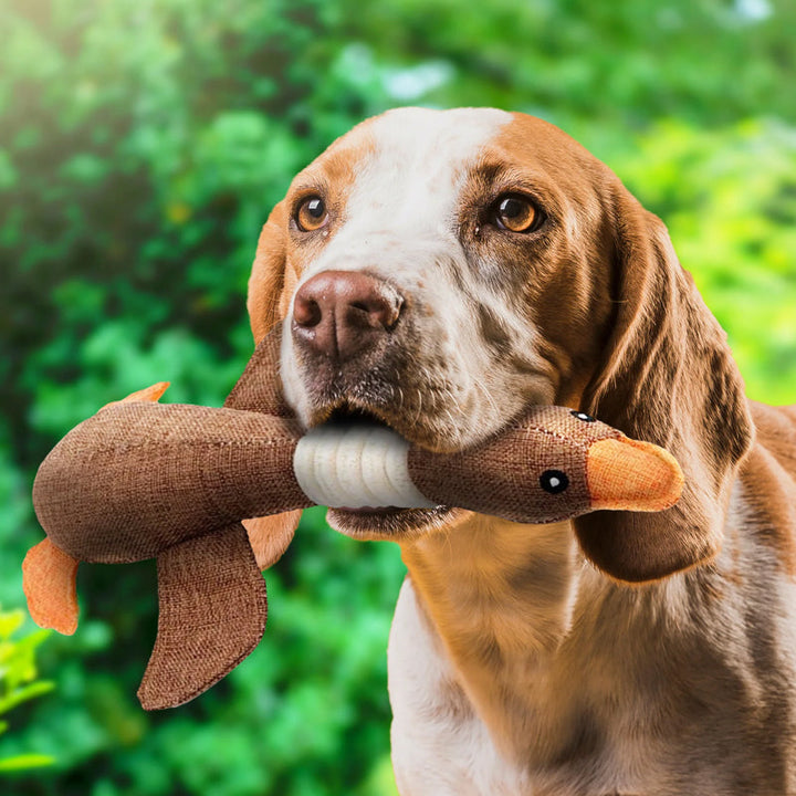 No More Broken Toys with This Ultimate Durable Dog Toy