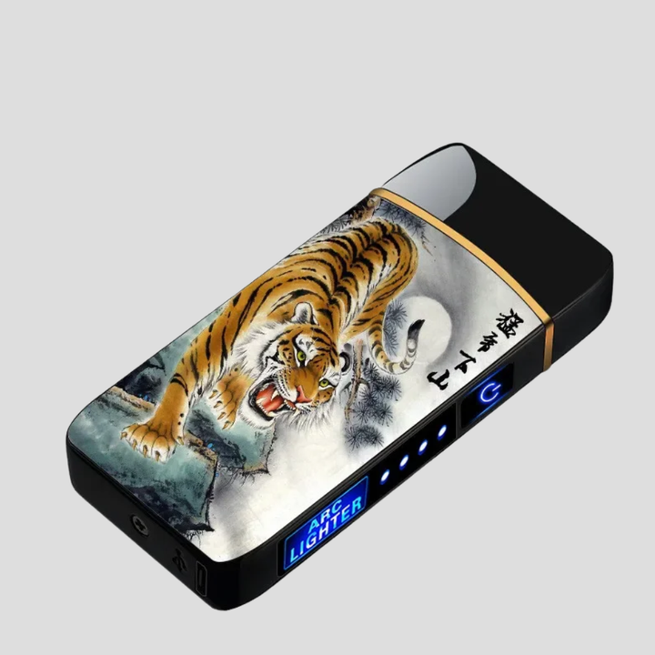 Electronic Windproof Lighter Ignition Solution