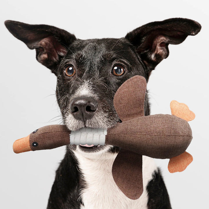 No More Broken Toys with This Ultimate Durable Dog Toy