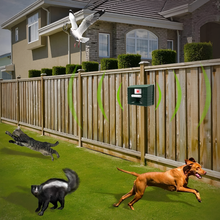 Woodpecker Ultrasonic Repeller for Effective Bird Control