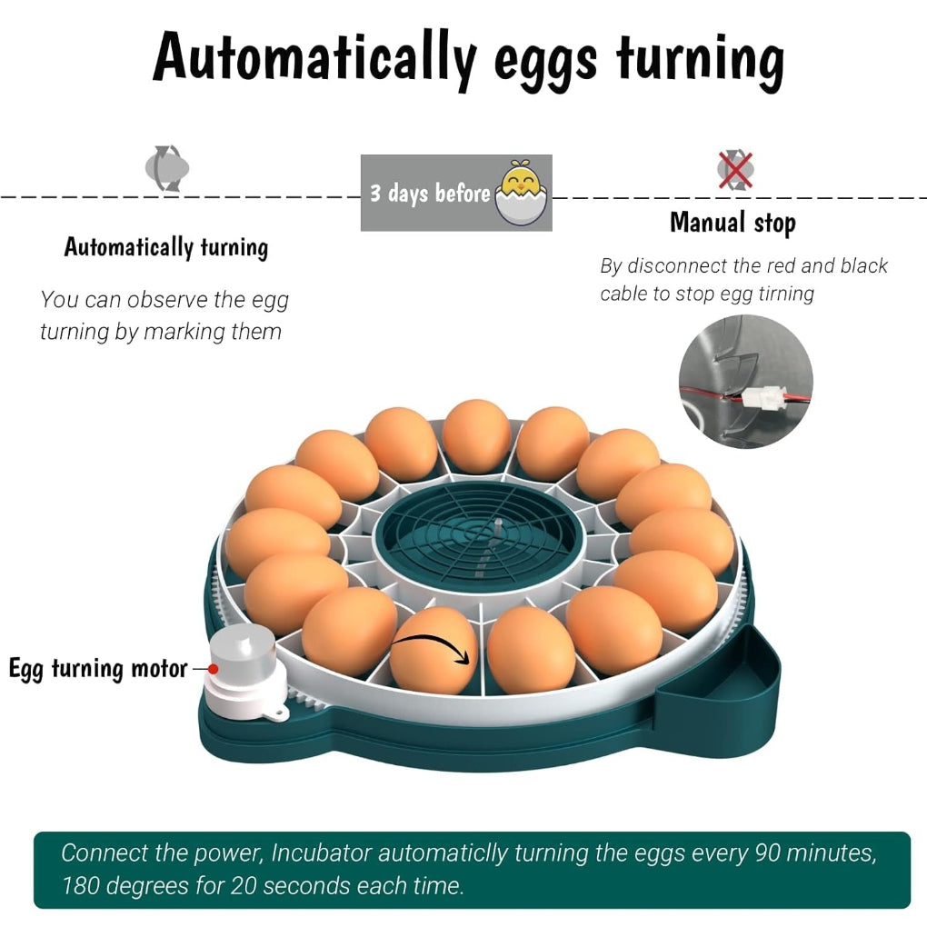 15 Eggs Incubator with Automatic Humidity Control