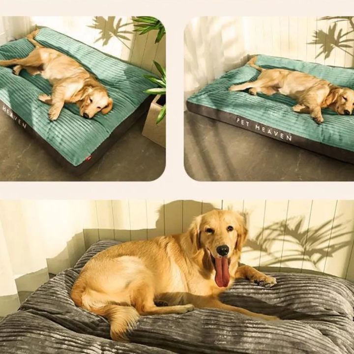 Dog Cushion for Rest and Relaxation
