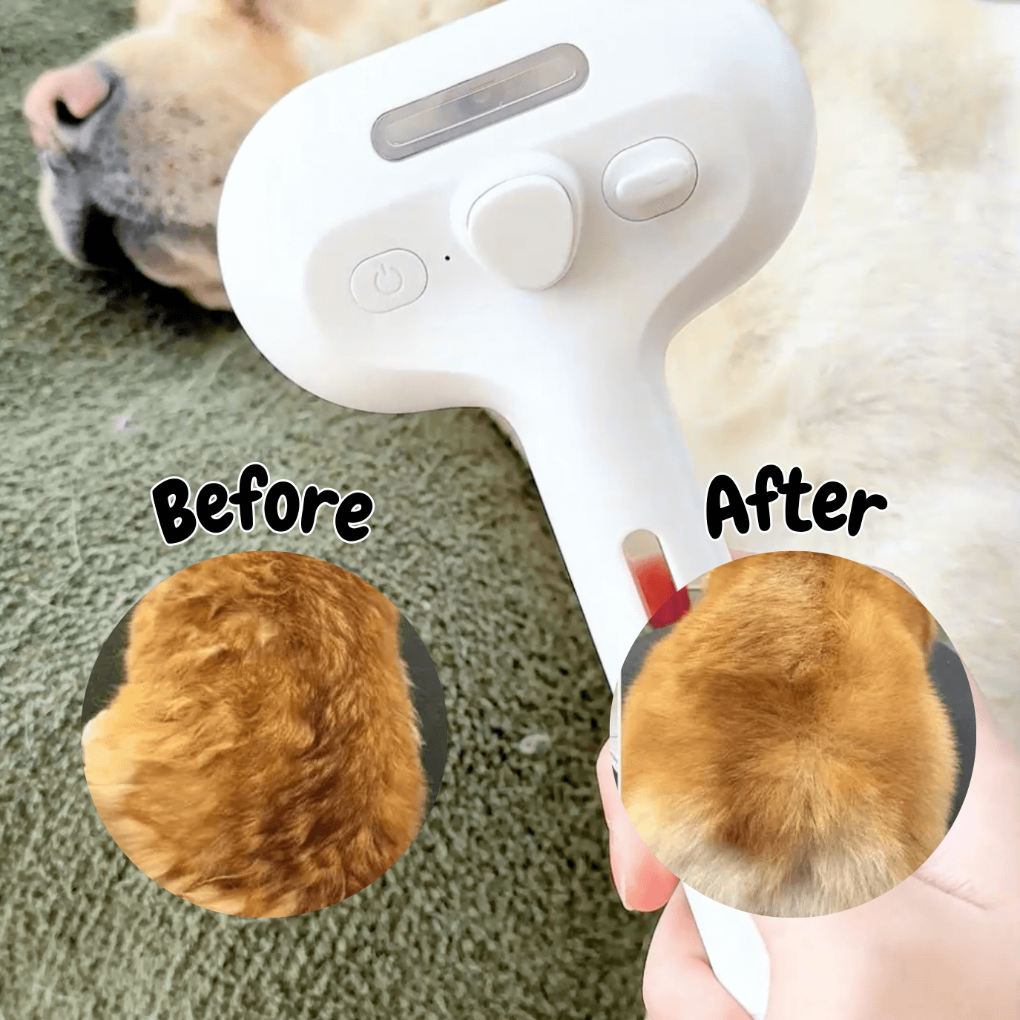BrushPaw Steam Brush for Dogs