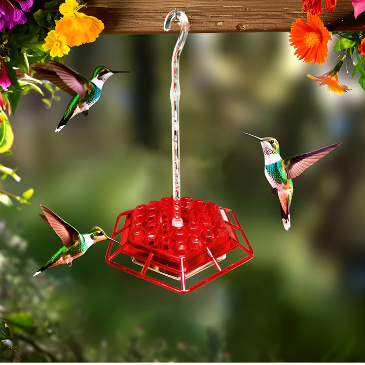 Ant Proof Hummingbird Feeder