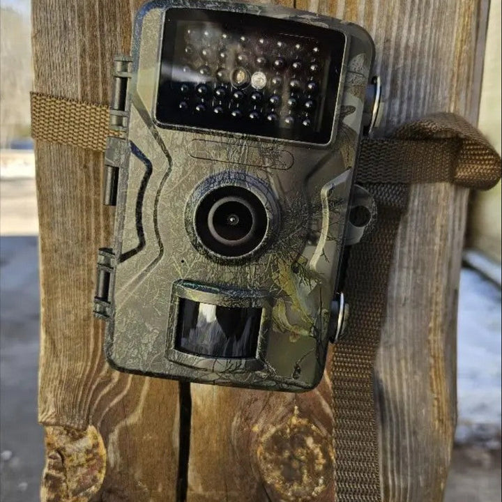 Night Vision Wildlife Camera