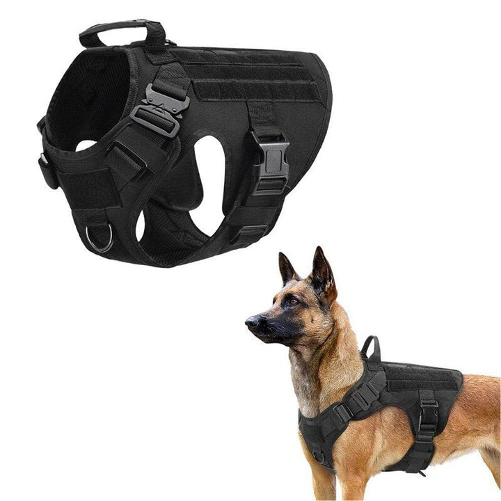 No-Pull Dog Harness – Rexon