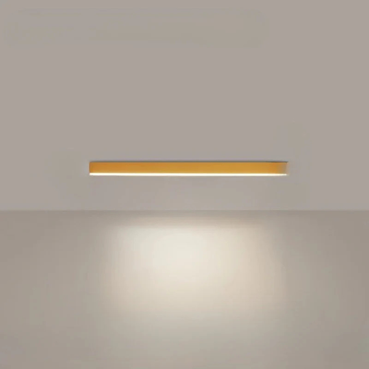 Modern LED Ceiling Lamp