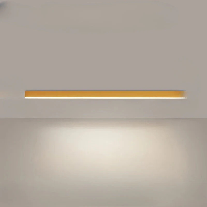 Modern LED Ceiling Lamp