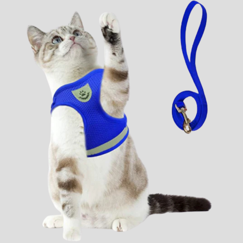 Cat Harness with Leash
