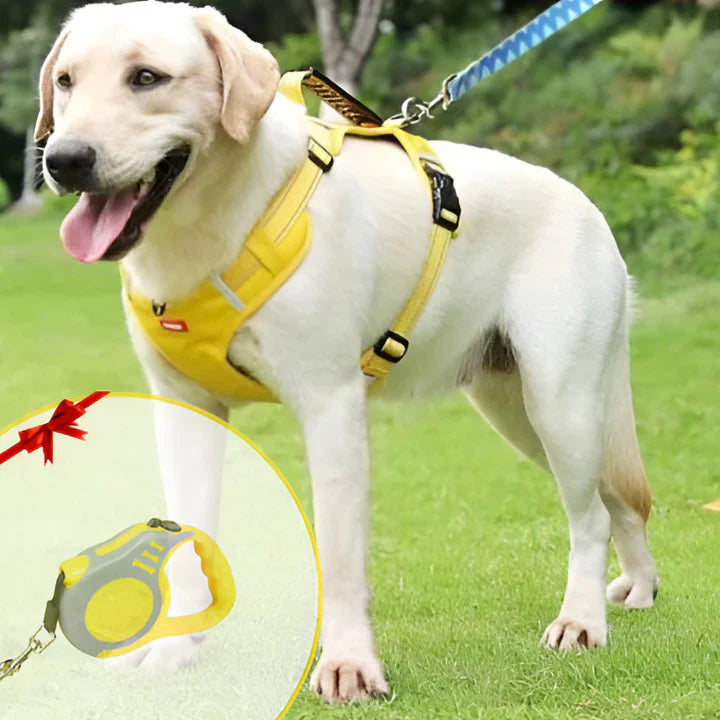 Anti-Pull Dog Harness with Comfortable Fit and Enhanced Control